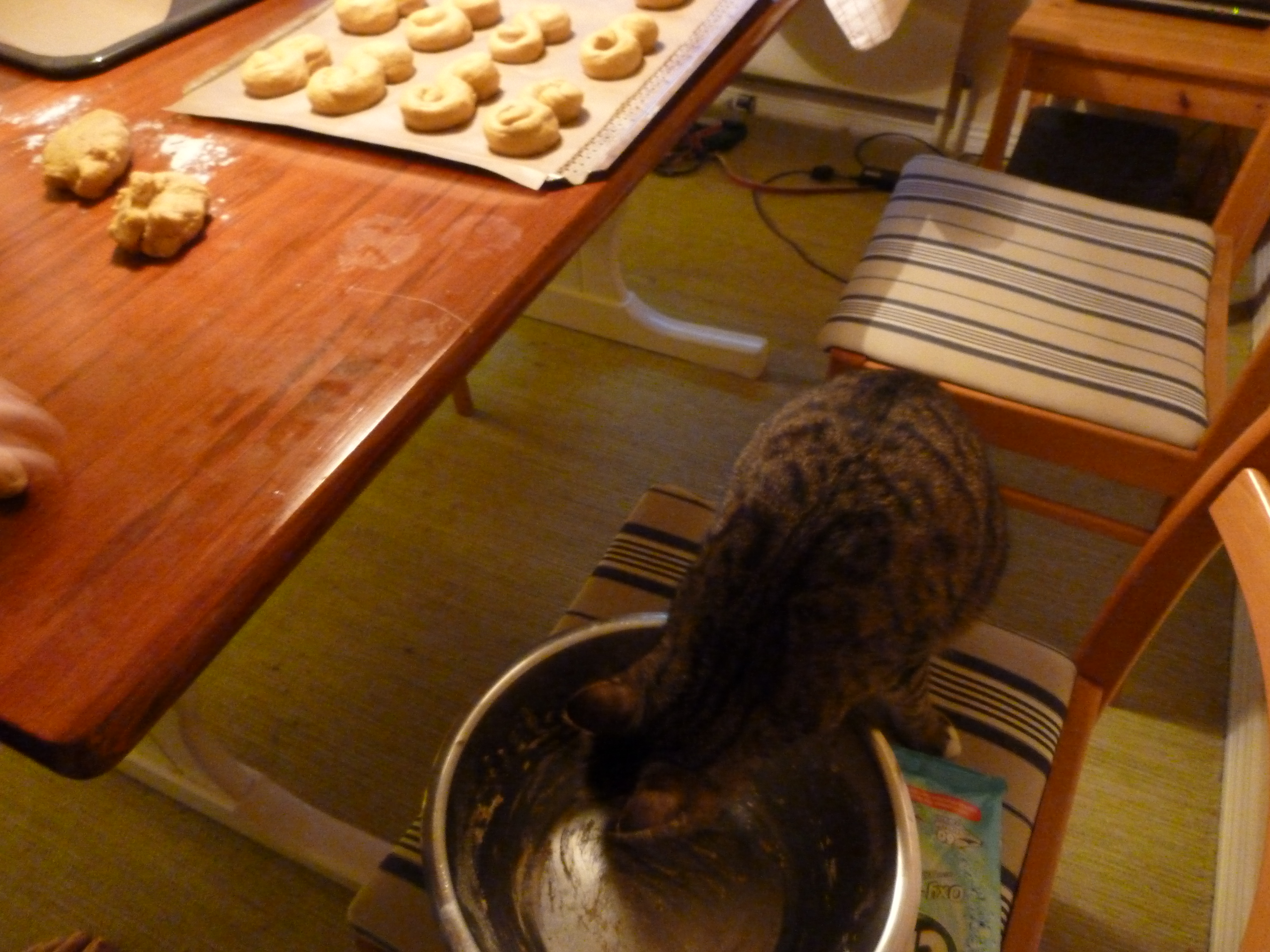 Saffran är inte bra för oss katter säger dom. Men om jag bara slickar skålen lite gör det väl inget?